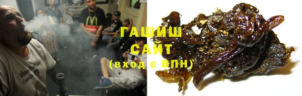гидра Богородск