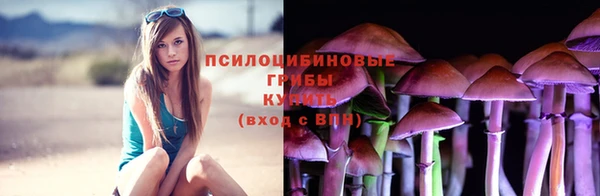 apvp Богородицк