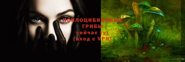 гидра Богородск