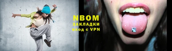 гидра Богородск