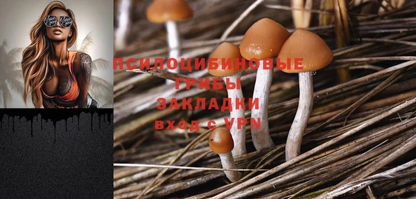apvp Богородицк