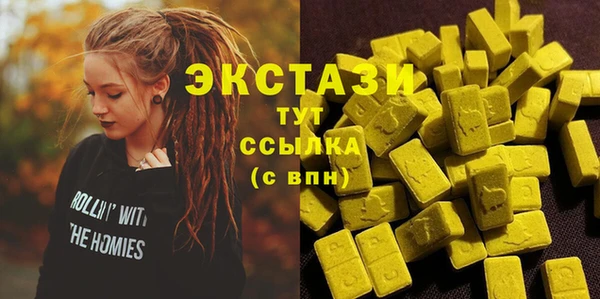 гидра Богородск