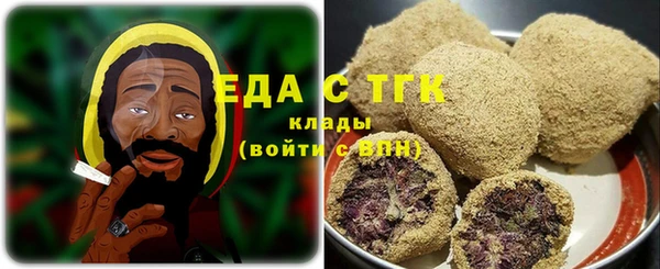 гидра Богородск