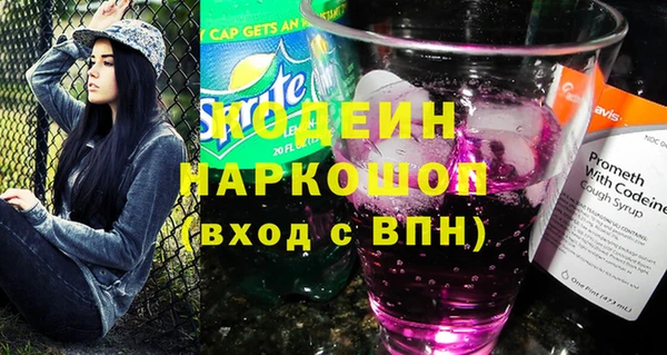 гидра Богородск