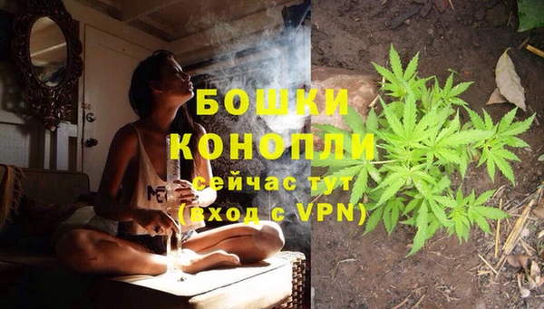 apvp Богородицк