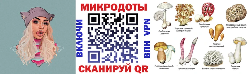 Псилоцибиновые грибы прущие грибы  Верхний Уфалей 